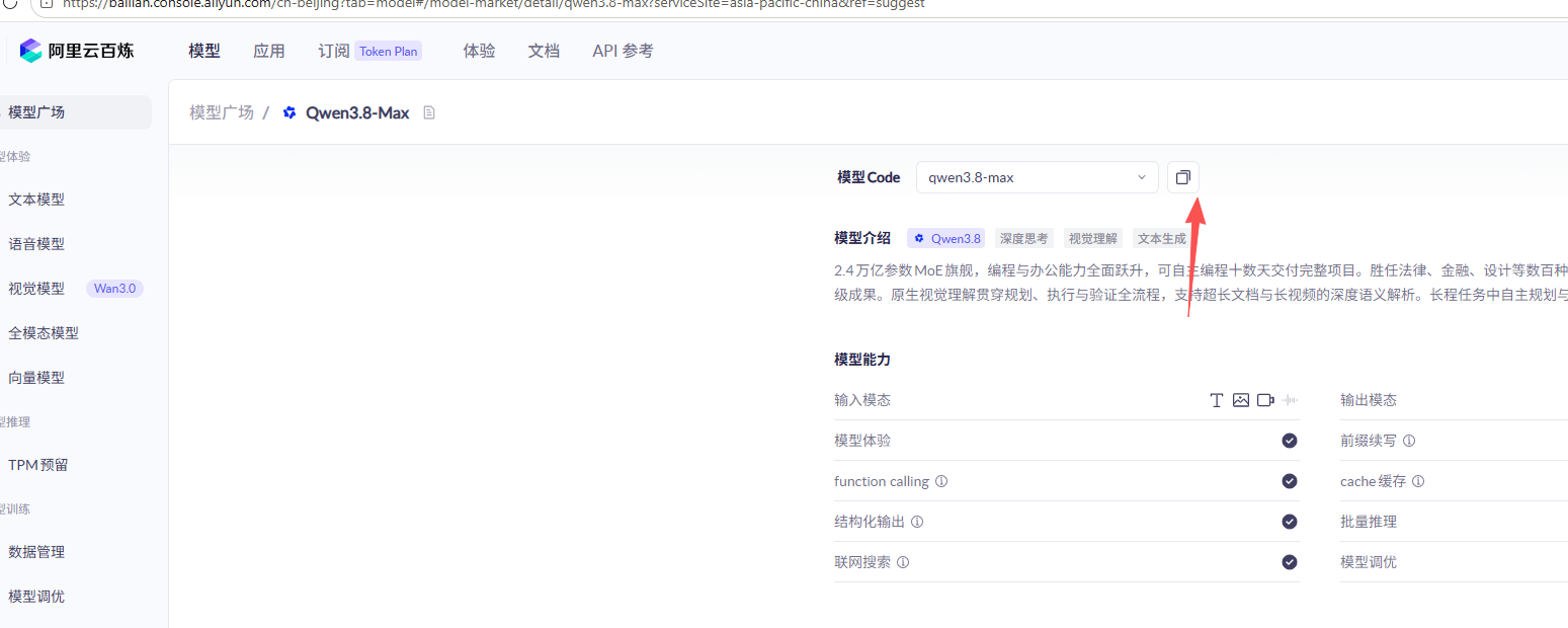 在阿里云百炼模型详情中复制模型 Code